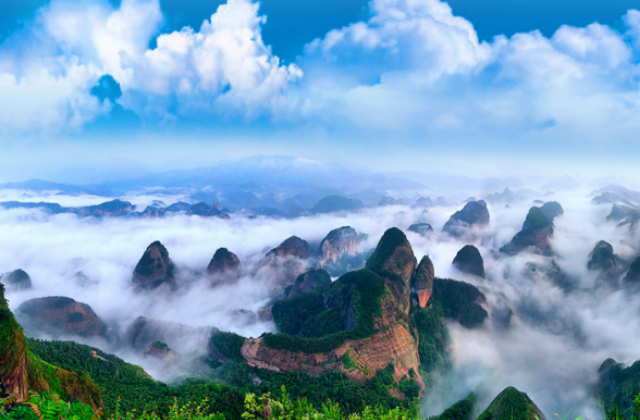 峎山封面.png