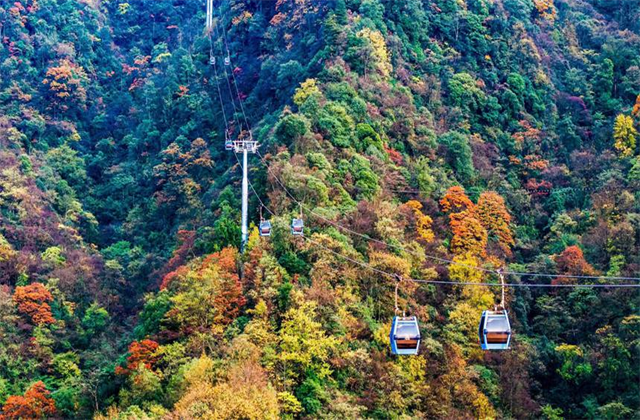重慶金佛山景區-1.jpg