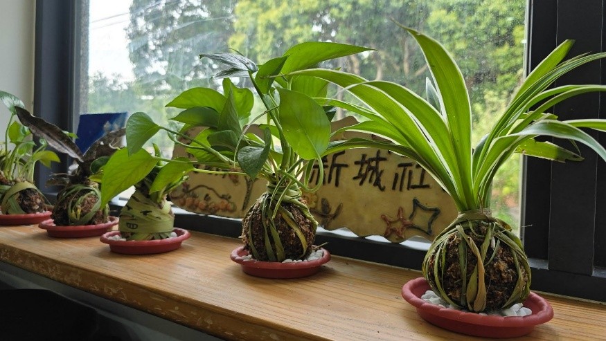 農村手作體驗 - 甘蔗渣苔球