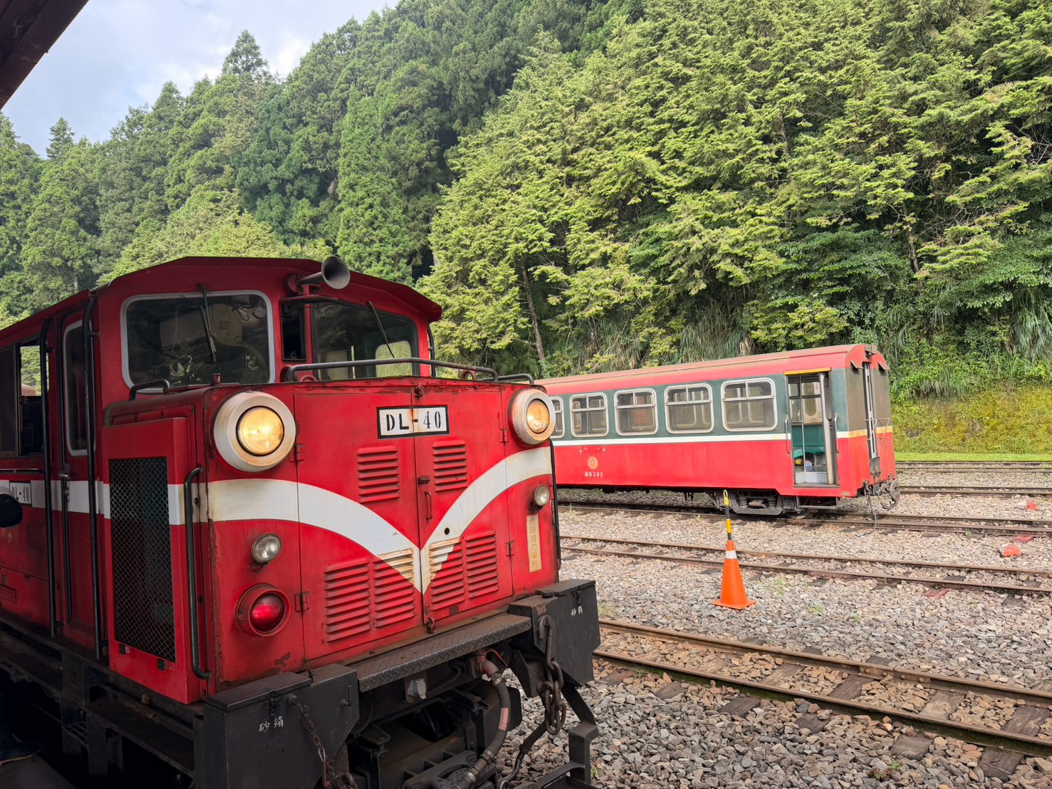 阿里山森林小火車