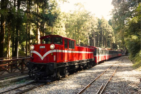 阿里山森林小火車