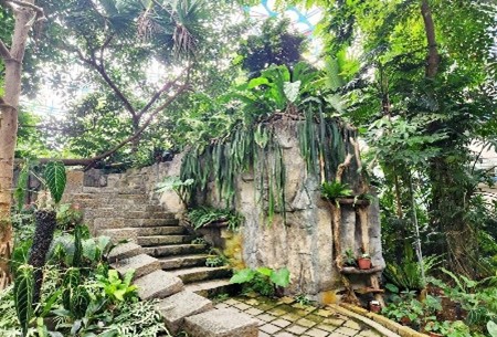 雨林溫室