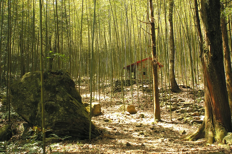 八仙山森林遊樂區