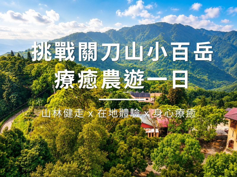 旅行社官網800x600.png