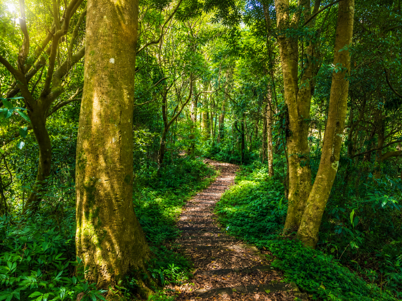 關刀山步道