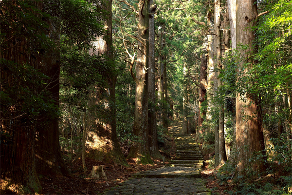 熊野古道朝聖之路旅行團