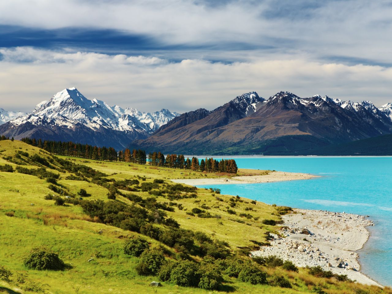 未命名設計 (3).jpg