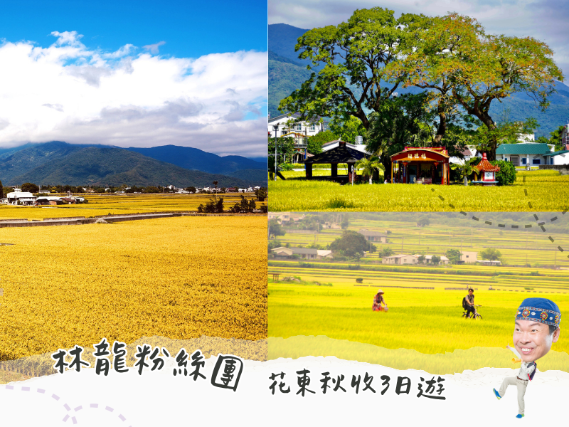 林龍粉絲團1151026-花東縱谷稻浪秋收-關山.池上.瓦拉米-日暉.瑞穗天合.雙享泡3日遊 TL1151026A