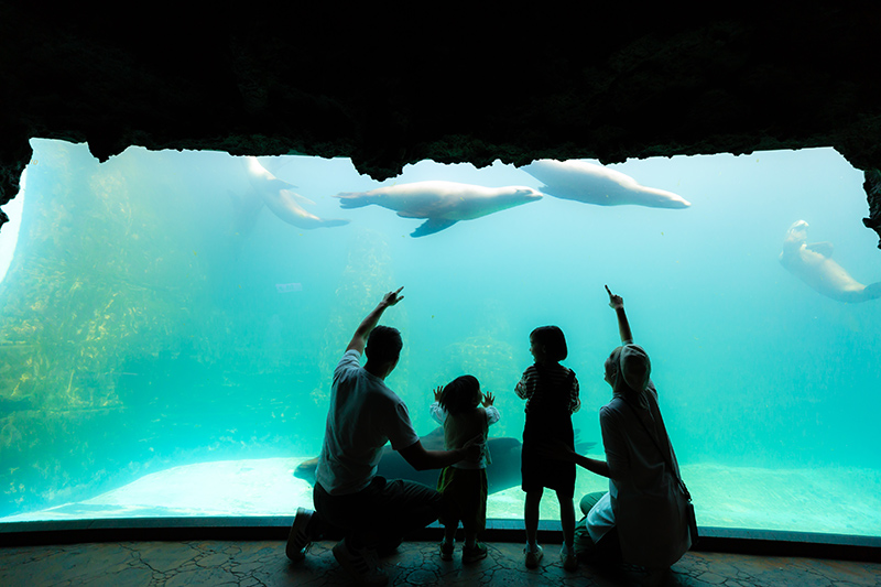 探險島水族館