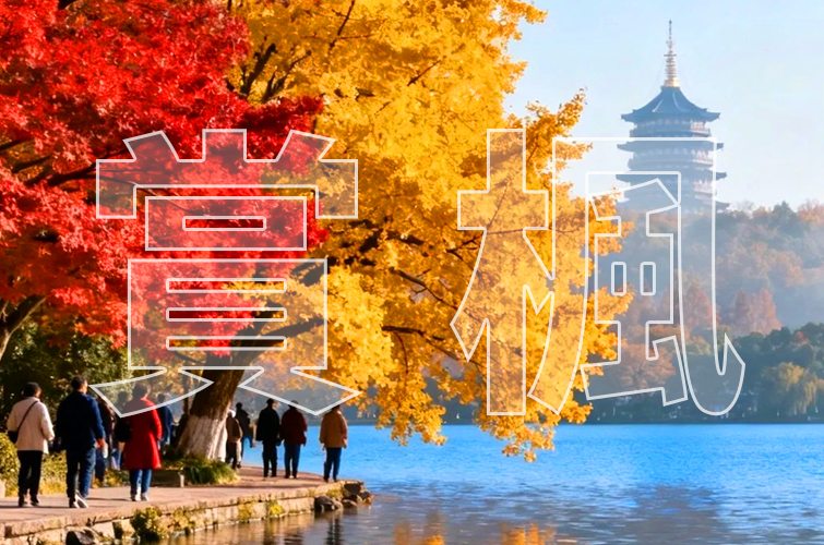 賞楓專區