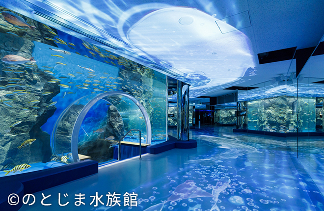 能登島水族館NotojimaAquarium3_330x215.jpg