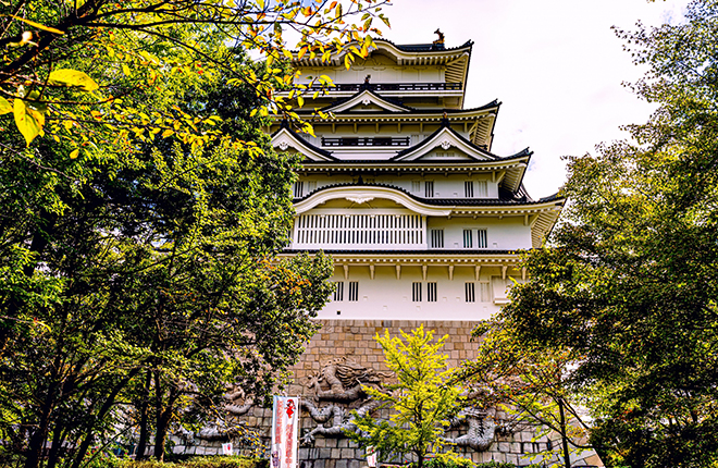 勝山城博物館KatsuyamaCastleMuseum2_330x215.jpg