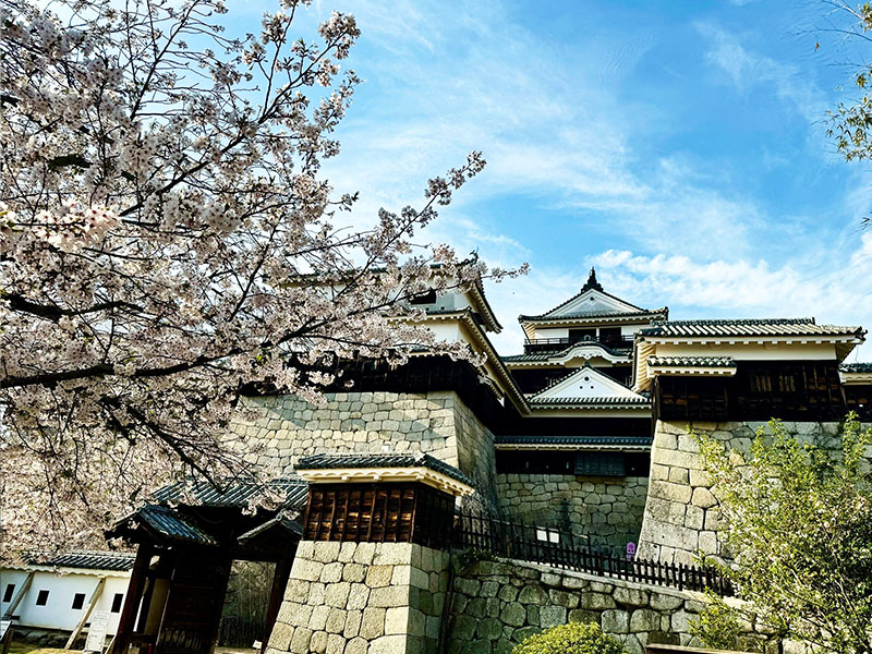 松山城 拷貝.jpg