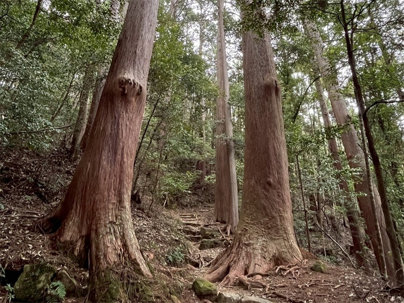 LINE_ALBUM_0515 第三天_250522_212.jpg