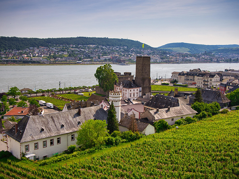Rüdesheim-am-Rhein.jpg
